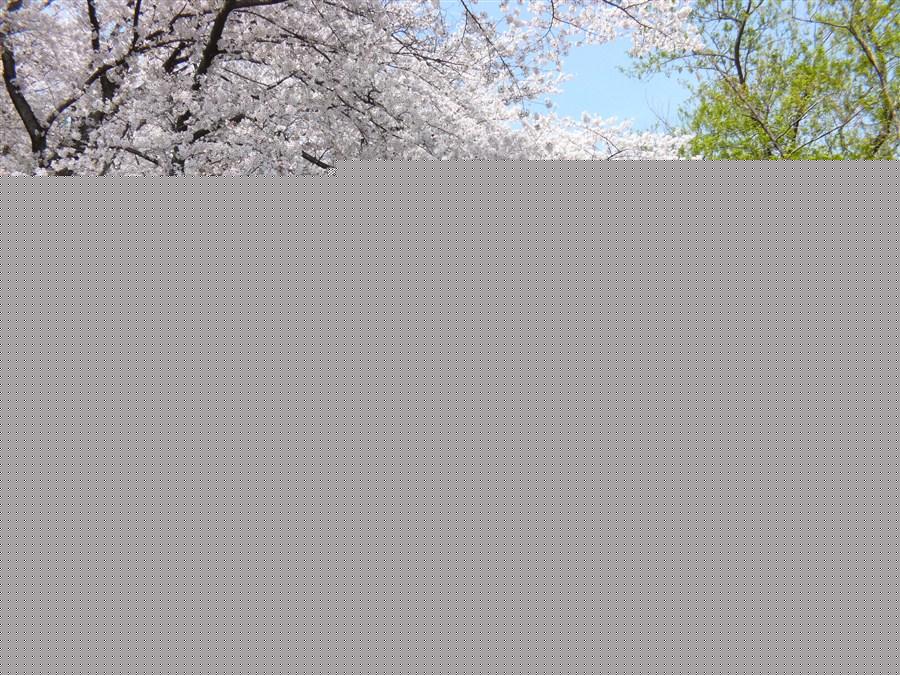 Other. Just a short walk to Crane Park. Proud of the prefecture's largest scale of size about 126ha (about 33 times the Koshien Stadium), It has been named to the "100 best Japanese city park," "100 best Japanese history park".