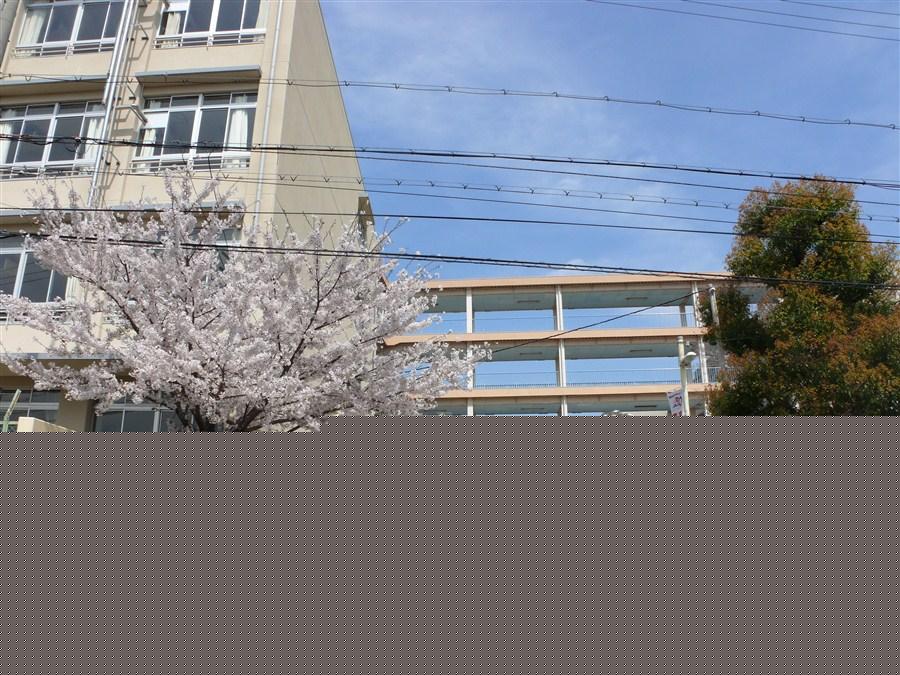 Junior high school. Toyonaka 940m to stand seventeenth junior high school  [12 mins] Based on the spirit of respect for human rights, "Greeting with a smile," "distinction Life," "firmly cleaning ・ The school with the aim to train students who have a clean heart "three forces.