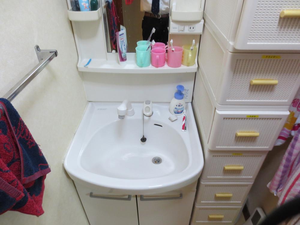 Wash basin, toilet. Baggage is removal plan.