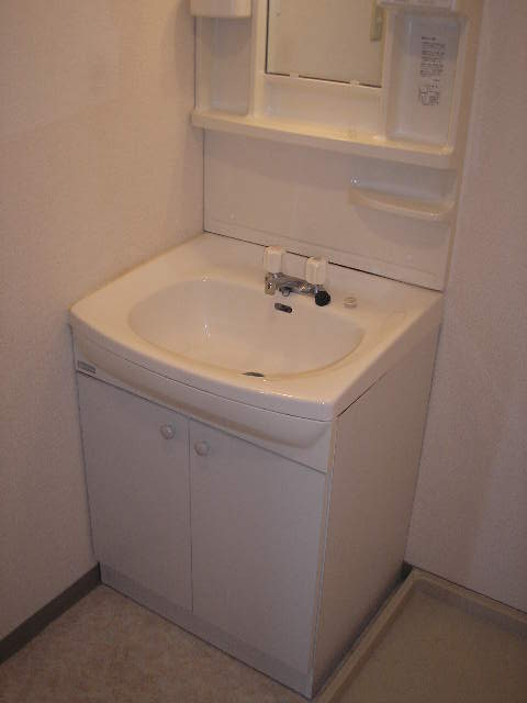 Entrance. Wash basin