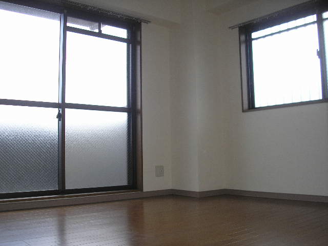 Other room space. Western style room