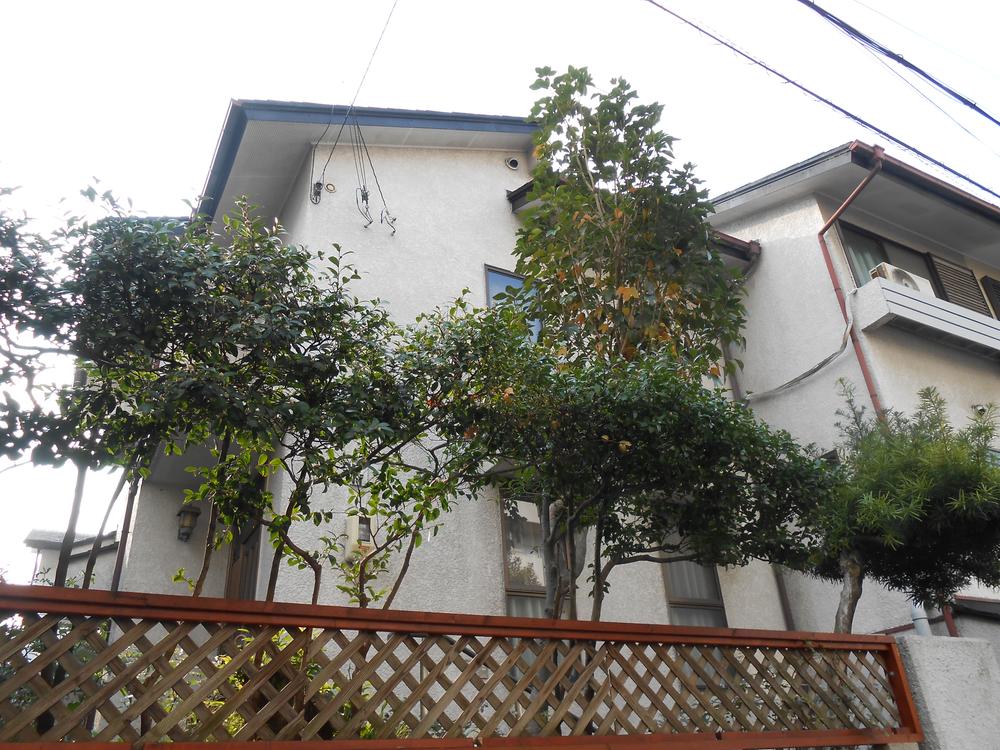 Local appearance photo. Local (12 May 2013) Shooting