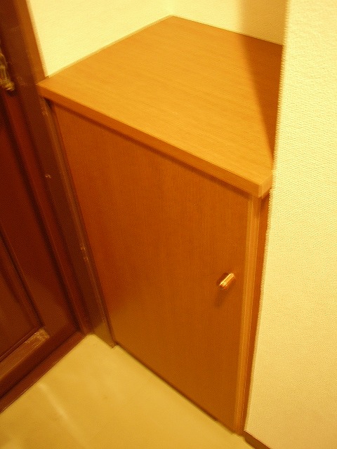 Receipt. Shoe box