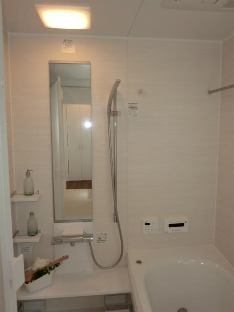 Bathroom. Local (10 May 2013) Shooting