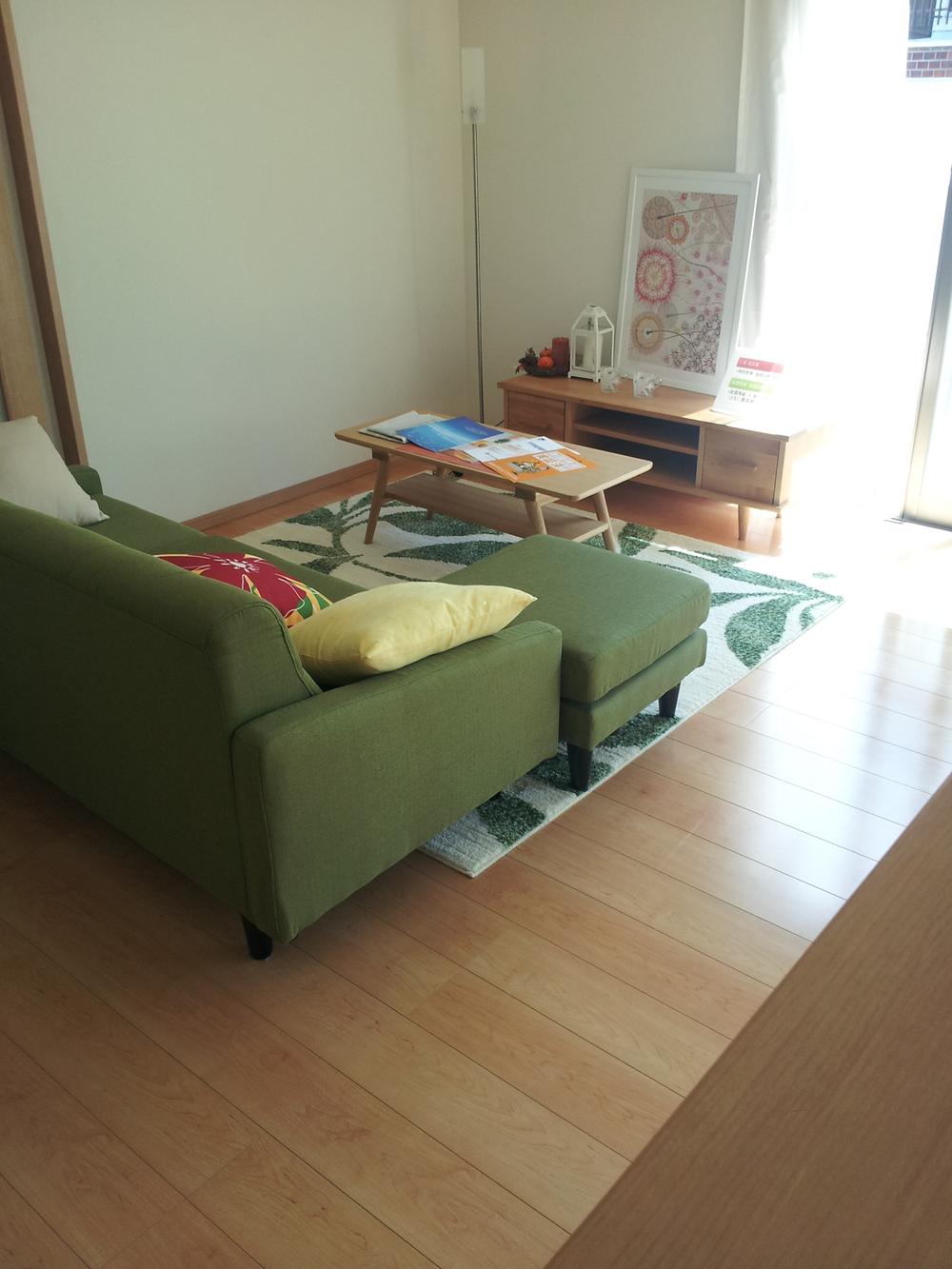 Living. Indoor (April 2013) Shooting