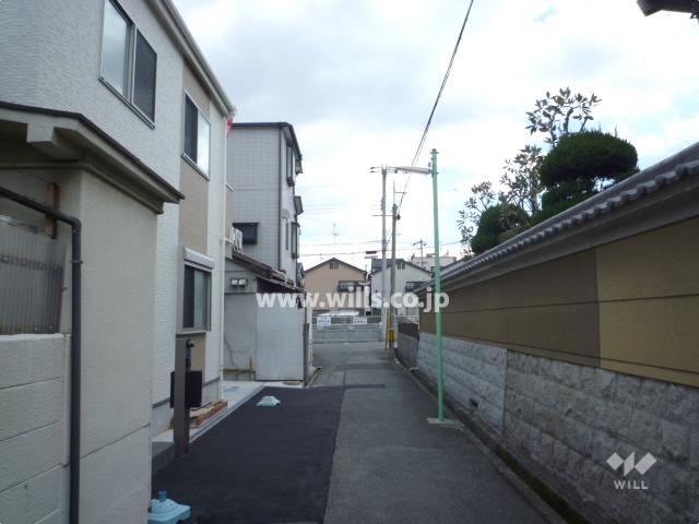 Local photos, including front road