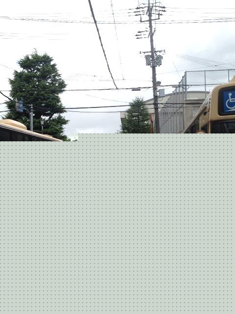 Other Environmental Photo