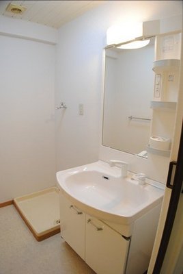Washroom. It is a big size shampoo dresser.