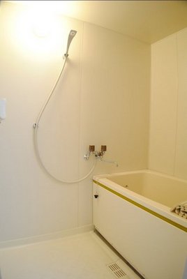 Bath. It is very clean bathroom.