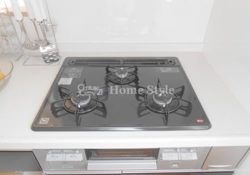 Other. Gas stove