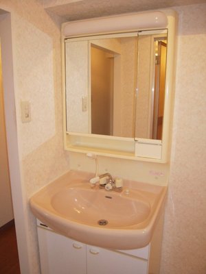 Washroom. Wash basin