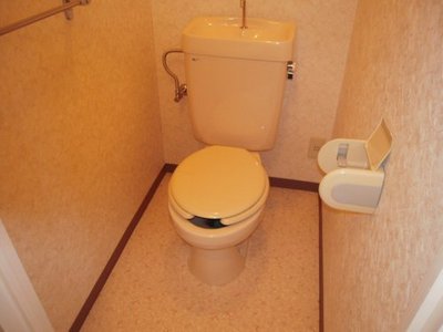 Toilet. Toilet