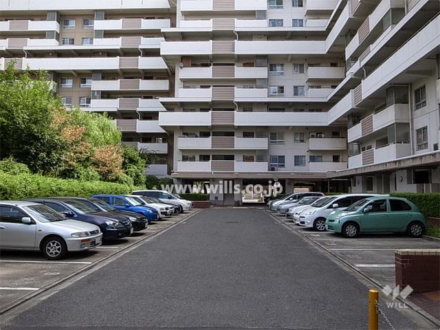 Parking lot. Common areas