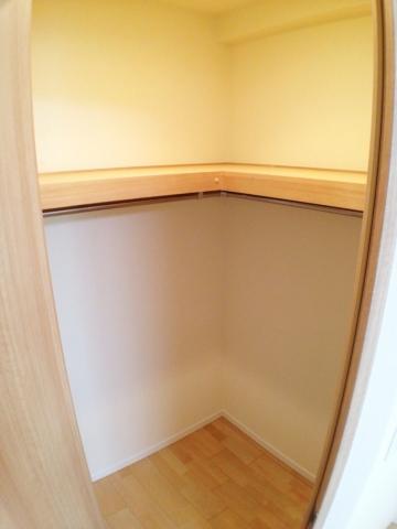 Other introspection. Walk-in closet