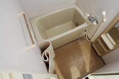 Bath. It is a bathroom with a Reheating function.