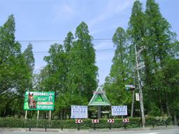 park. Until Crane 400m