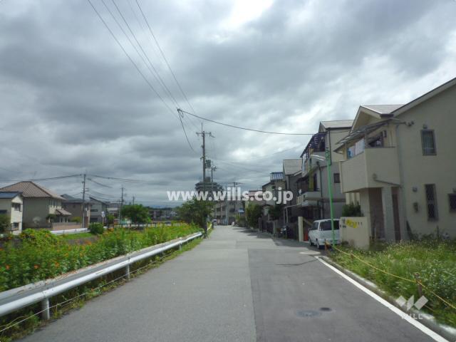 Local photos, including front road