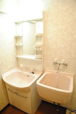 Washroom. With pets washable slop sink