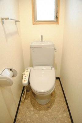 Toilet. Happy small window with