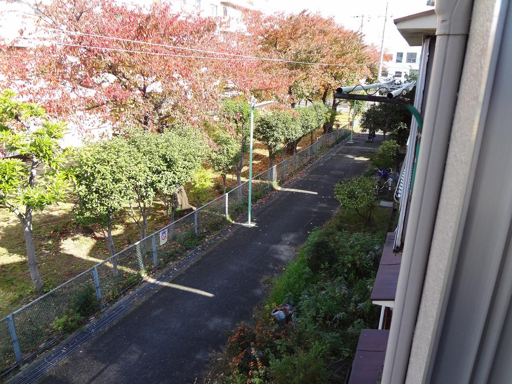 View photos from the dwelling unit. Property back, I looked down at the north side of the road from the window. 