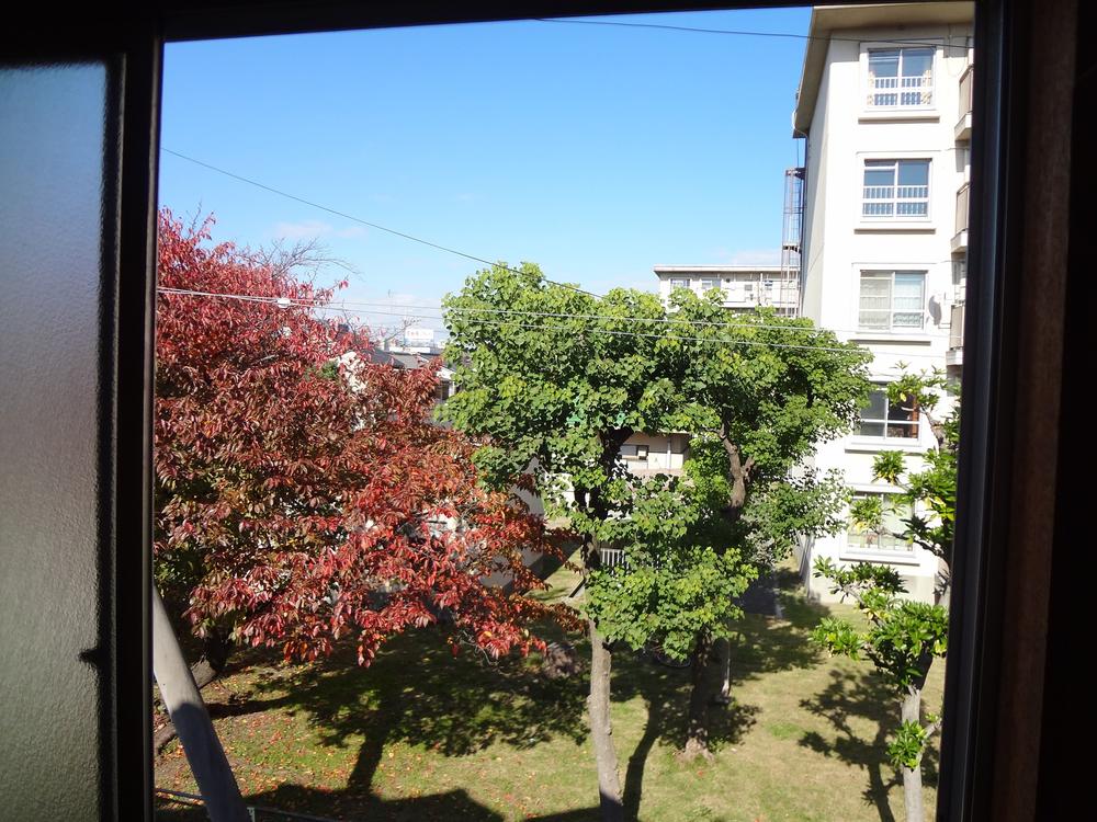 View photos from the dwelling unit. Sunny