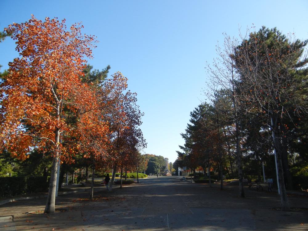 Other.  [Crane Park] Crane Park from local to the location of the 15-minute walk. Proud of the prefecture's largest scale of size about 126ha (about 33 times the Koshien Stadium), It has been named to the "100 best Japanese city park," "100 best Japanese history park".