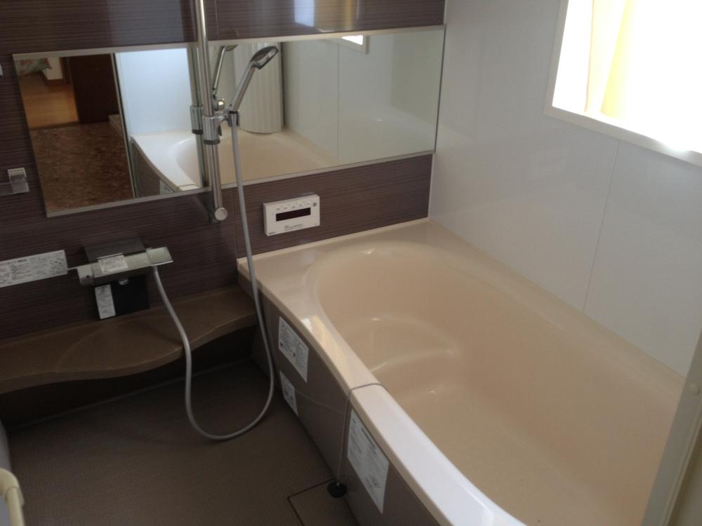 Bathroom. Local (May 2013) Shooting