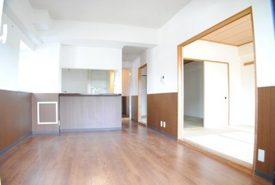 Living and room. 12 Pledge counter kitchen living room is very clean.