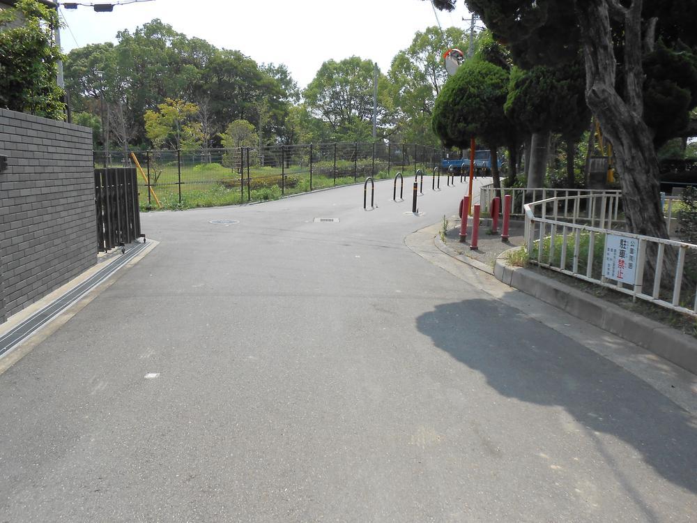 Local photos, including front road. Frontal road