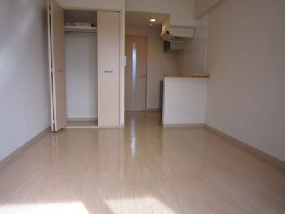 Living and room. Clean room