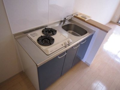 Kitchen. Gas two-burner system Kitchen