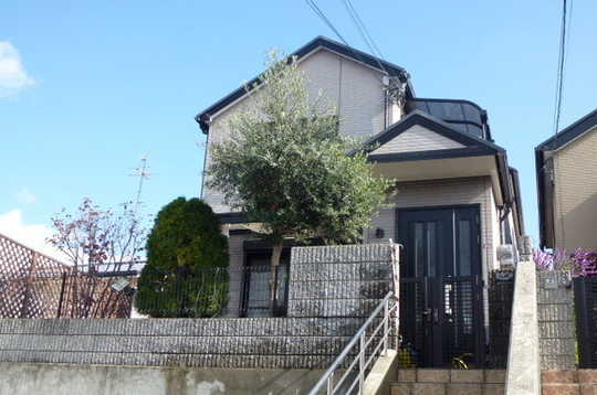 Local appearance photo