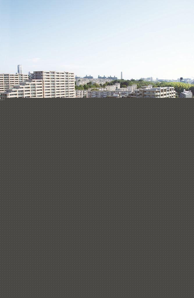 Other local. PanaHome Smart City is the birth to the popular Higashitoyonaka.