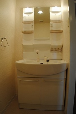Washroom. Shampoo dresser of a large mirror.