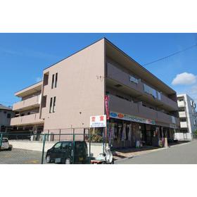 Building appearance
