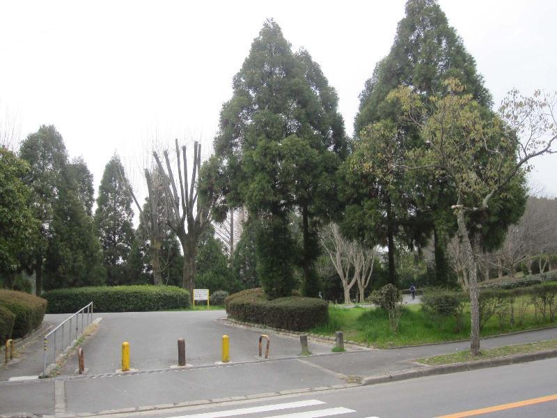 Living and room. Chisato South Park