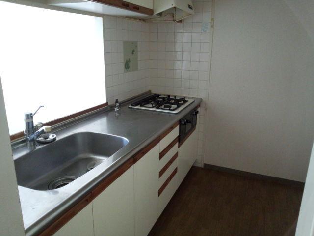 Kitchen. Indoor shooting