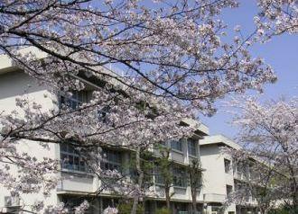 Primary school. Toyonaka Municipal Minamioka to elementary school 801m