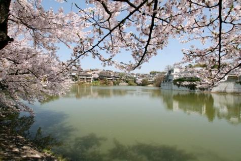 Other Environmental Photo. It is known as the 520m Hokusetsu leading mansion district until three pond Higashitoyonaka. It has been designated as a scenic area, Good living environment is protected to those of strict building regulations, It has been chosen as the "Toyonaka Hyakkei".