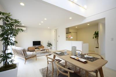 Same specifications photos (living). Rendering