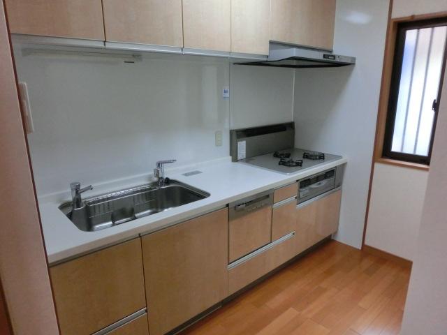 Kitchen. Indoor (11 May 2013) Shooting