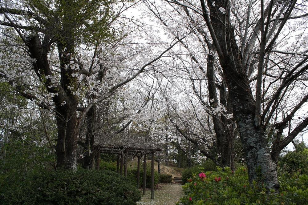 park. 1535m to Miyayama park