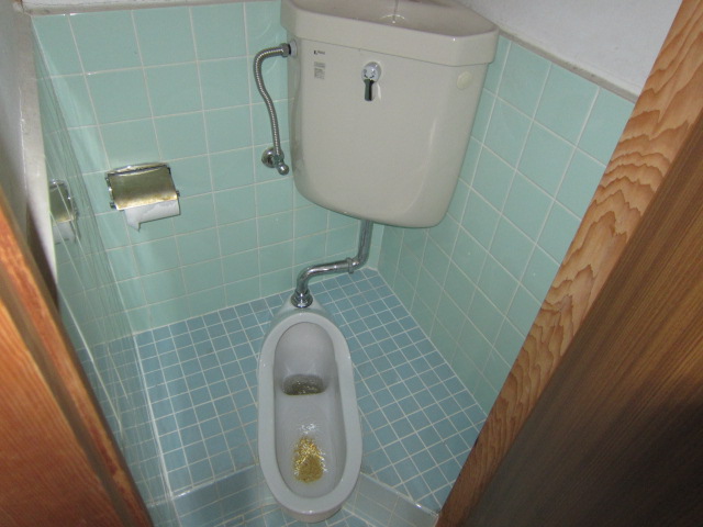 Toilet