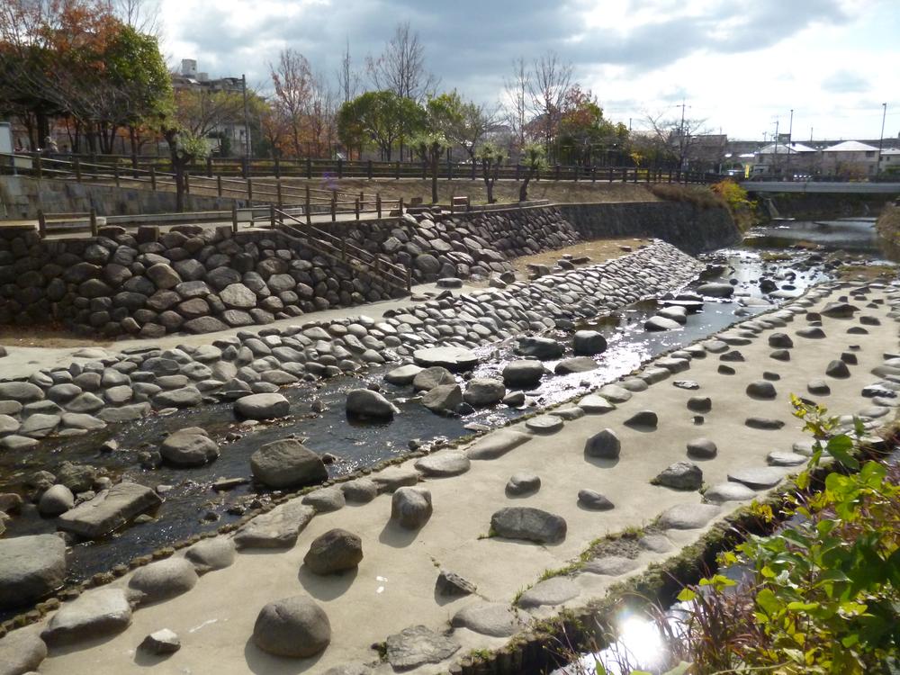 Other. Local (12 May 2013) Shooting