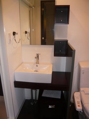 Washroom. Stylish independent vanity