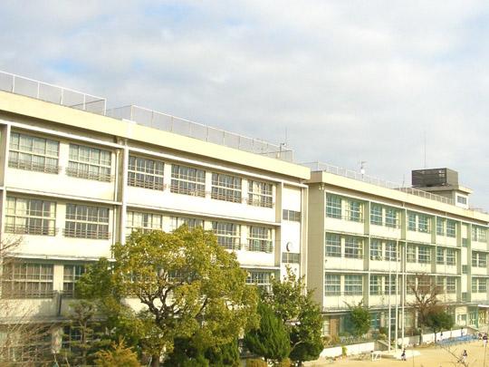 Primary school. We are working to 530m dietary education to Toyonaka Municipal Ozone elementary school, Also enhance Delivery class of companies, etc. related to food. further, Using the harvested agricultural products and or challenging for a variety of cooking in Shokuno experience, Likely to learn a lot of things