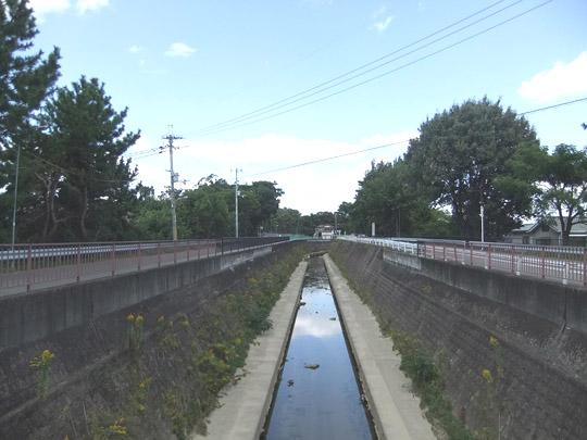 Other Environmental Photo. India River, which is flowing almost vertical the 200m Toyonaka to India River. The rest are many green, Along the river has become a beautiful pine tree-lined