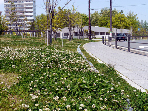 Other Environmental Photo. 80m walk 1 minute to the peripheral streets