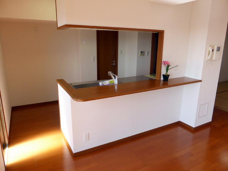 Other introspection. Counter Kitchen