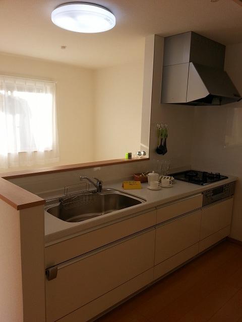 Kitchen. Local (12 May 2013) Shooting